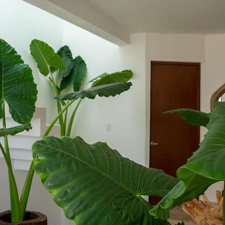 Recamara 5 Tulum Apartment Cancun Bagian luar foto